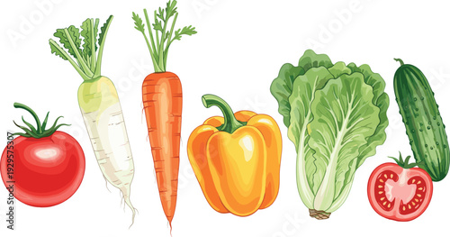 Fresh vegetable collection set featuring tomato carrot radish bell pepper lettuce and cucumber isolated on white background for healthy eating and organic food design