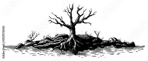 Detailed engraving style illustration of a lonely dead tree on a rocky shoreline