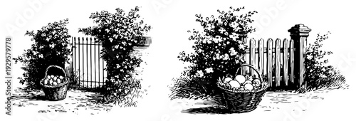 Vintage engravings of garden baskets filled with eggs placed next to garden gates and fences