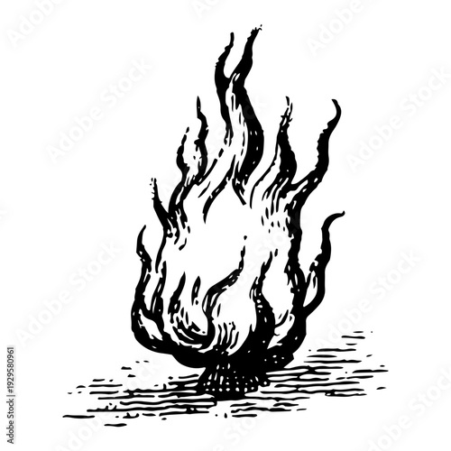 Vintage hand drawn engraving of a burning bush or sacred holy fire in traditional woodcut style