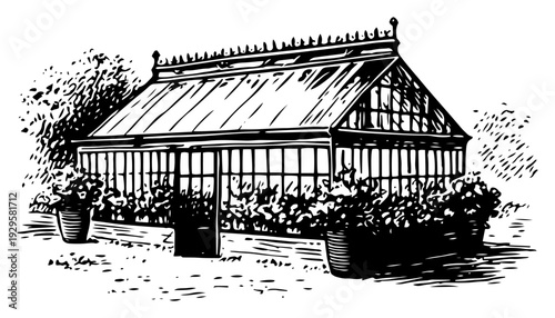 Hand drawn vintage engraving of a classic garden greenhouse with many potted plants