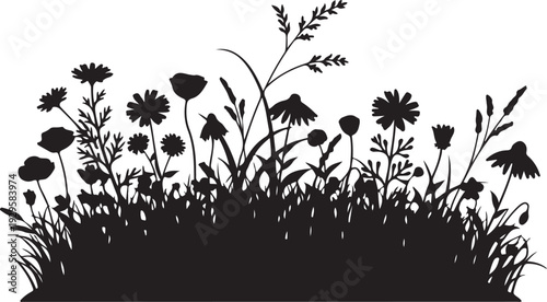Black silhouette of wildflowers and grasses on white background de