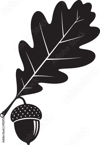 Black silhouette of an oak leaf and acorn on a white background de