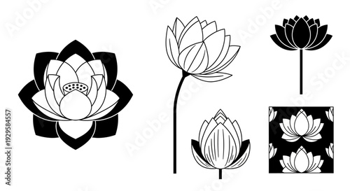 Set of black and white lotus flower vector illustrations and seamless pattern design, ideal for decorative elements and graphic design projects