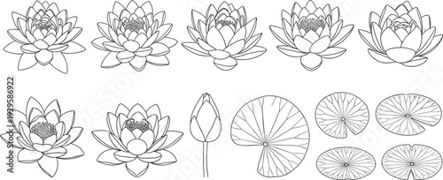 Lotus Flower and Lily Pad Line Art Illustration Set – Minimalist Black and White Botanical Sketches of Blooming Water Lilies for Wellness and Zen Design