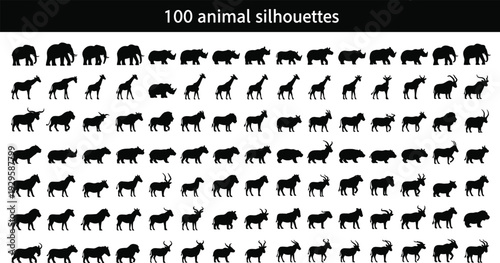 100 animal silhouettes collection, black vector set of wild mammals isolated on white background for safari, zoo and wildlife design