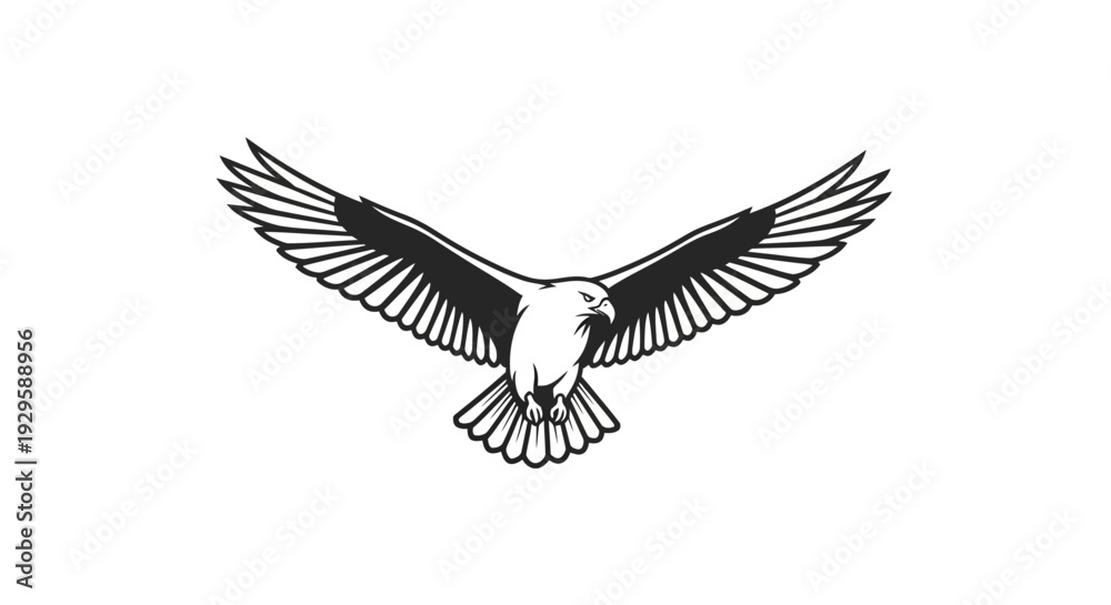 Obraz premium Black and White Dove in Flight.