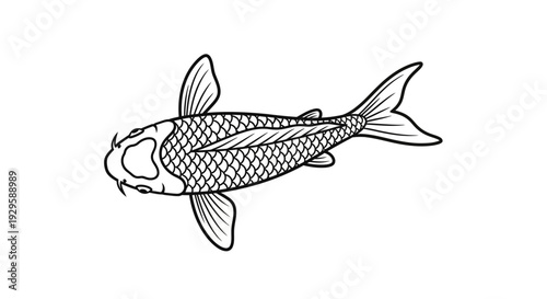 Black and White Koi Fish Illustration.