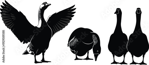Goose silhouette collection in various poses, black and white vector illustration set isolated on white background for farm and wildlife design