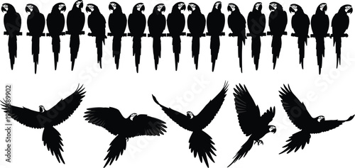 Parrot silhouette collection with perched and flying macaws, Parrot silhouette collection with perched and flying macaws