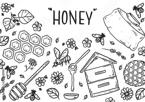  Hand drawn honey sketch. Doodles set. Hand drawn vector illustration for packaging design. Honeycomb, bee, flowers, jar of honey frame. Honey quirky icons, simple sketch style. Minimalist line art.