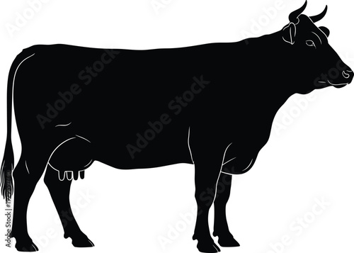 Black cow silhouette, standing side view, farm animal livestock dairy cattle agriculture rural nature minimal vector illustration isolated white background
