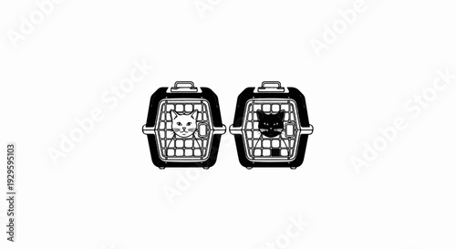 Two cats, one white, one black, sit in their carriers side by side