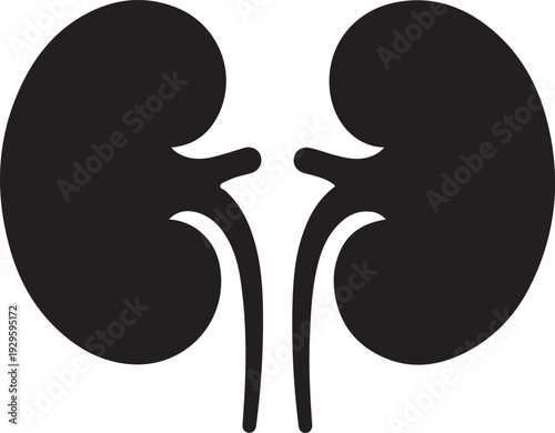 Kidney silhouette medical organ anatomy icon