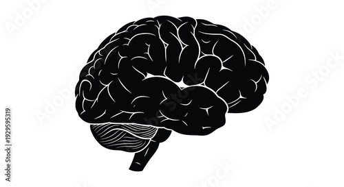 A detailed black depiction of the human brain s complex structure presented as a striking silhouette high quality professional detailed