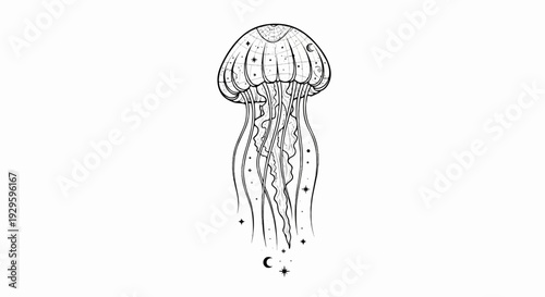 Stylized jellyfish with celestial and starry details in black and white outline
