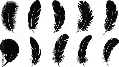 Set of black decorative feather silhouettes isolated on white background, various bird plumage elements for bohemian style, tribal art, and nature-inspired graphic design.