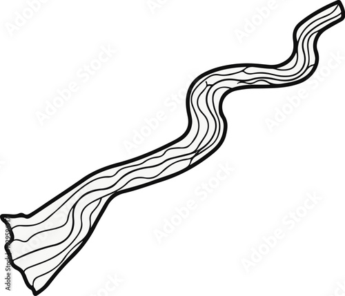 Abstract illustration of a winding river or watercourse with detailed internal lines