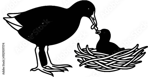 Adult bird feeding chick with insect in a nest, black and white outline
