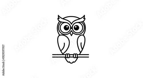 Owl Perched on a Branch Alone.