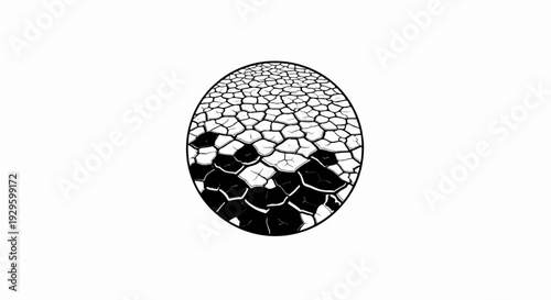 Cracked earth pattern in a circular frame, transitioning from light to dark