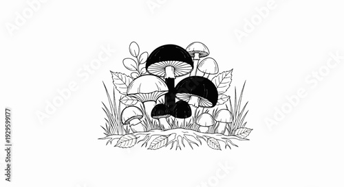 Group of various sized mushrooms with leaves and grass