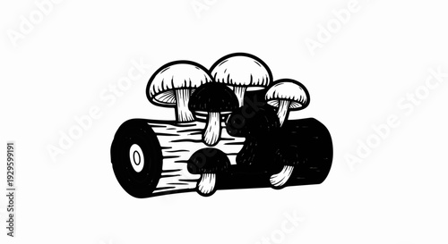 Black and white illustration of various mushrooms growing on a log