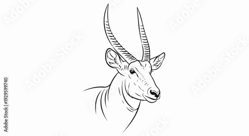 A detailed line drawing of an antelope's head and neck facing right