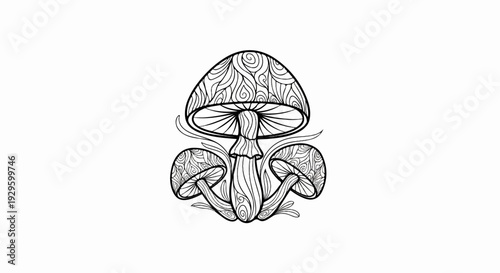 Intricate black and white linework illustration of mushrooms with patterned caps