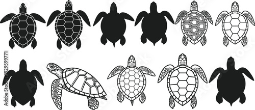 Collection of turtle silhouettes and detailed shell designs, top-down view illustrations, rustic aquatic animal artwork, educational biology visuals, traditional reptile pattern representation set
