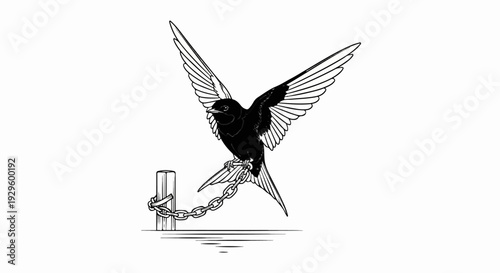 Black bird with spread wings perches on a chain near a post