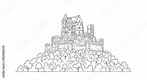 Ornate ancient stone castle ruins perched atop a tree-covered hill