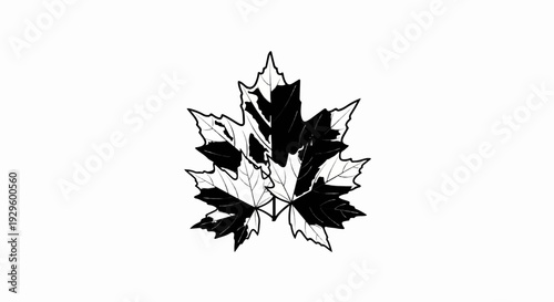 Stylized black and white maple leaf graphic with contrasting segments and outlines