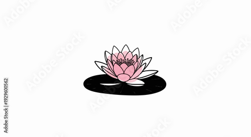 Stylized pink water lily with black outline on a black lily pad