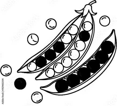 Two open pea pods with contrasting black and white peas scattered around