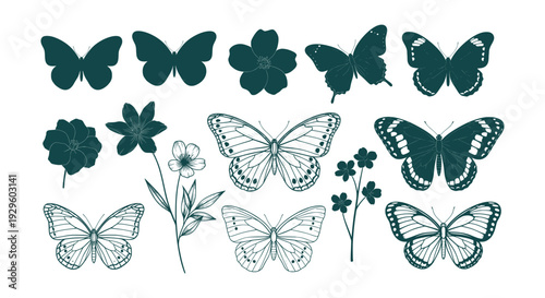 Hand Drawn Baseball Balls Vector Set Classic Sports Game Equipment Illustration Collection