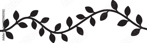 Horizontal ivy vine silhouette with delicate leaves creating natural wavy border for organic garden branding and floral designs