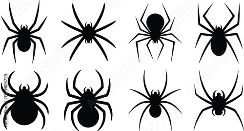 Set of black spider silhouettes isolated on white background, featuring various arachnid shapes for Halloween design, spooky themes, and nature education graphics.