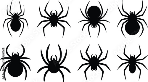 Set of black spider silhouettes isolated on white background, featuring various arachnid shapes for Halloween design, spooky themes, and nature education graphics.