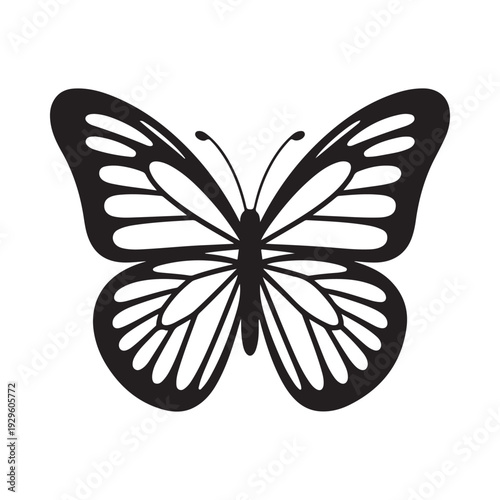 A simple black and white illustration of a butterfly with detailed wing patterns