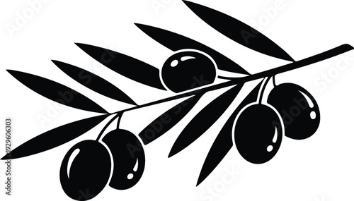 Minimalist black silhouette of mediterranean olive tree branch with leaves vector illustration
