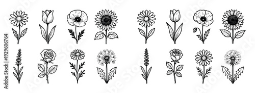 Hand drawn line art flower illustrations