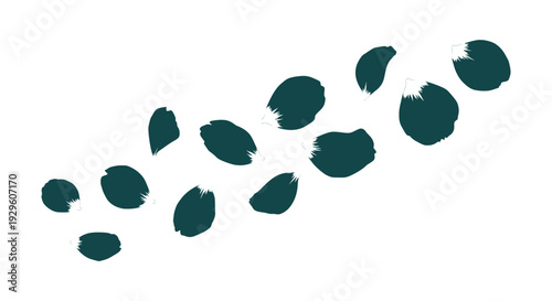 Hand Drawn Vintage Ocean Marine Collection Waves Sun Palm Tree Starfish Seashells Corals