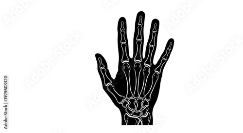 Skeleton Hand Illustration Black and White.