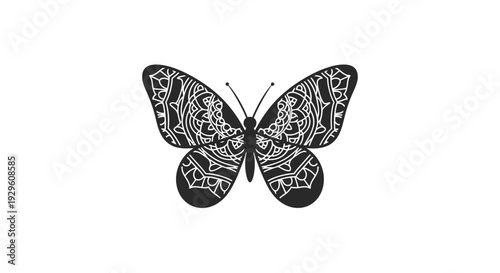 Black Butterfly with Intricate Patterns.