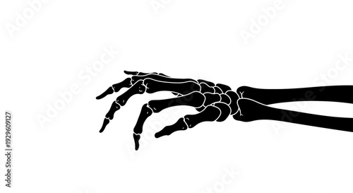 X-ray of Human Hand Bones.