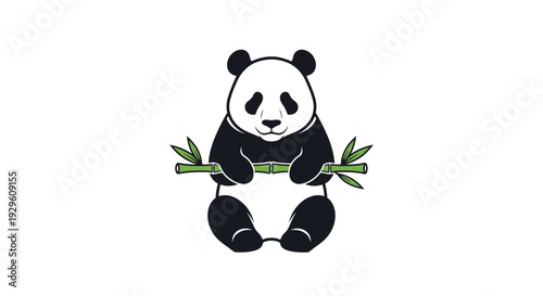 Cute black and white panda bear.