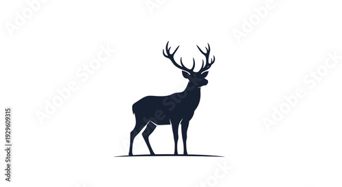 Deer with large antlers standing.