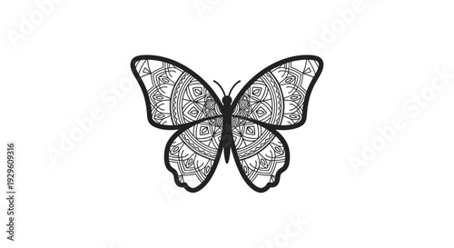 Detailed black and white butterfly.