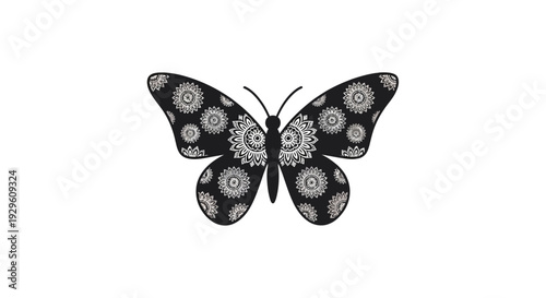 Detailed black and white butterfly.